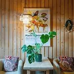 Lesniczowka U Zieby 3* 考斯赛力克