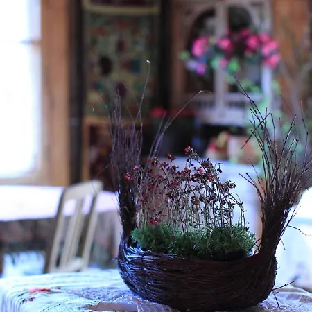 Lesniczowka U Zieby كوشتيليسكا