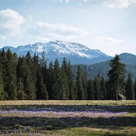 Lesniczowka U Zieby فندق مبيت وإفطار كوشتيليسكا