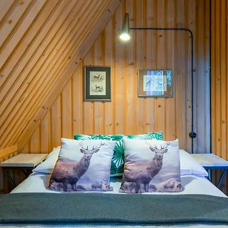 Lesniczowka U Zieby 3* كوشتيليسكا