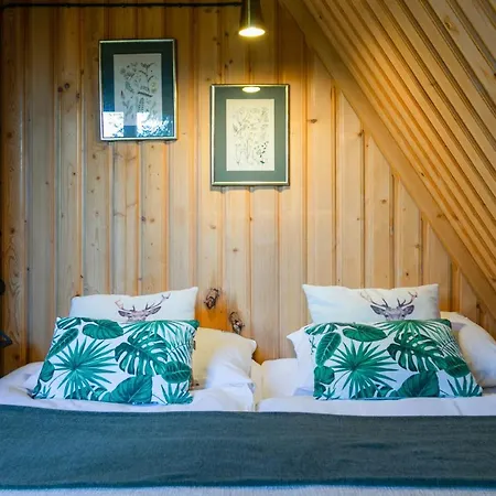 Bed & Breakfast Lesniczowka U Zieby *
