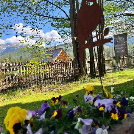 Lesniczowka U Zieby Bed & Breakfast *
