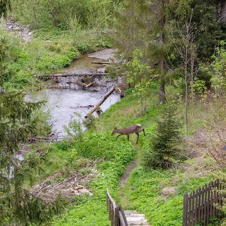 Lesniczowka U Zieby Frühstückspension Kościelisko