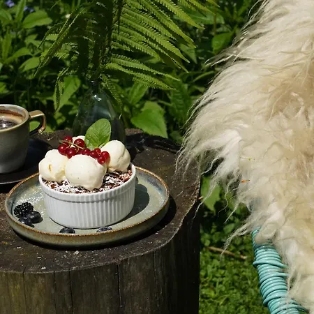 Lesniczowka U Zieby Frühstückspension Kościelisko