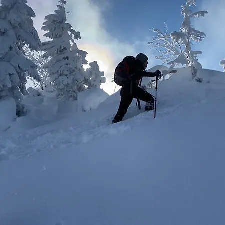 Lesniczowka U Zieby فندق مبيت وإفطار