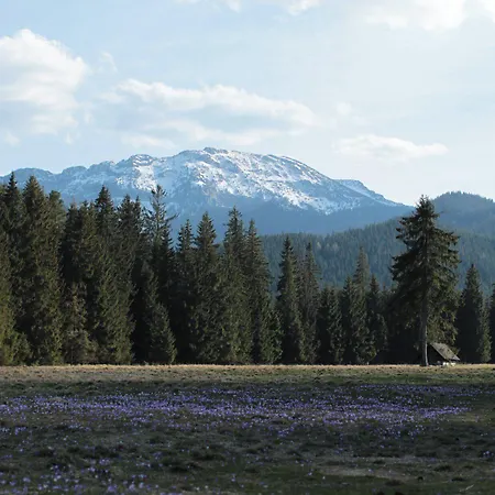 فندق مبيت وإفطار Lesniczowka U Zieby كوشتيليسكا