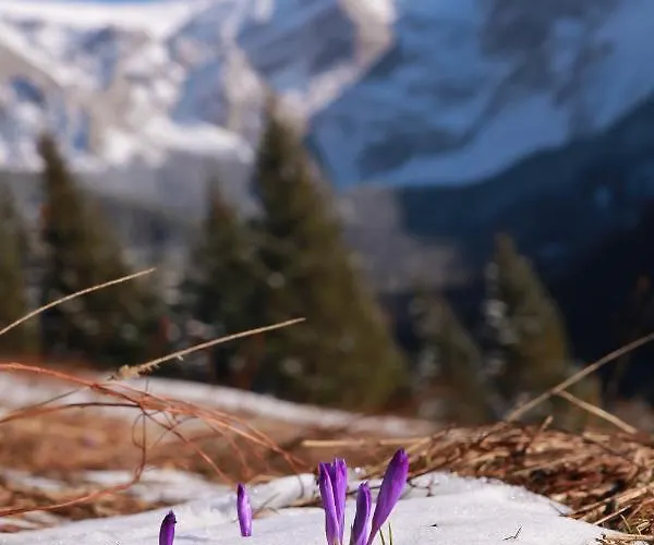 Bed & Breakfast Lesniczowka U Zieby