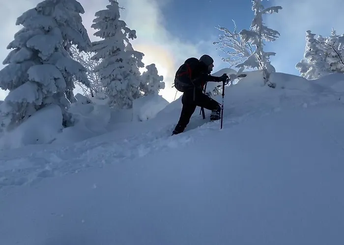 Lesniczowka U Zieby Bed & Breakfast